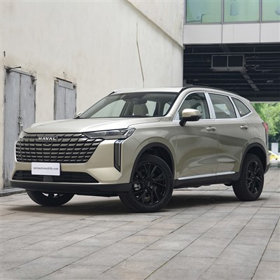 Haval H6 DHT PHEV רכב אנרגיה חדש